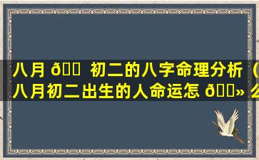 八月 🐠 初二的八字命理分析（八月初二出生的人命运怎 🌻 么样）